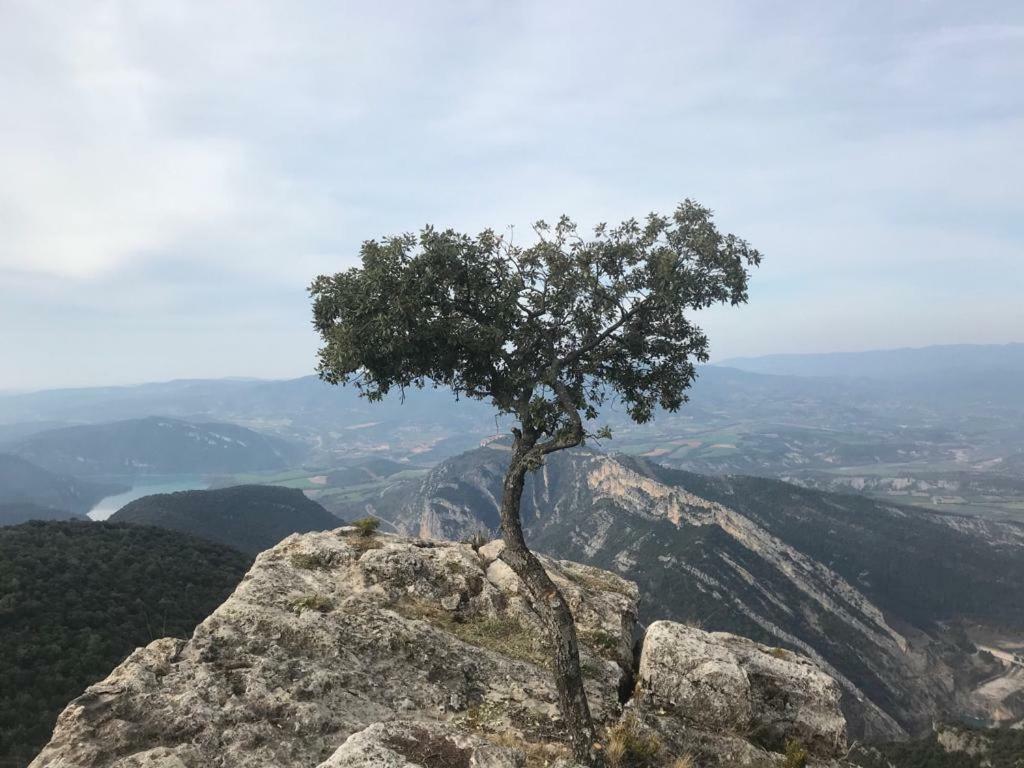 Apartamento Cinca Pirineo En 아인사 외부 사진